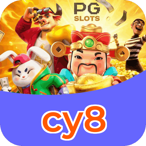 Interface cy8